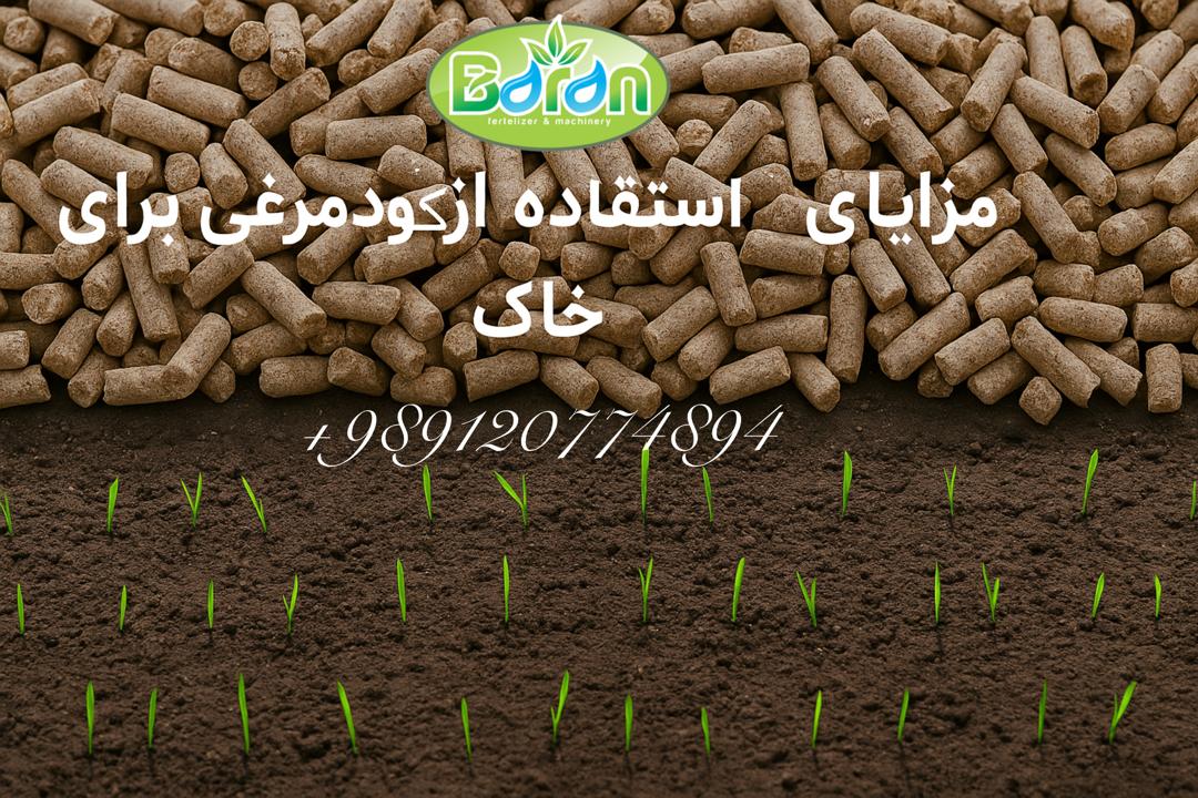 مزایای کود مرغی پلیتی