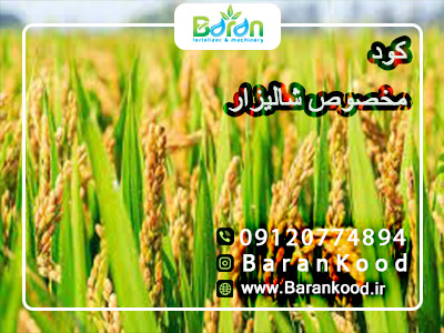 کود مخصوص شالیزار