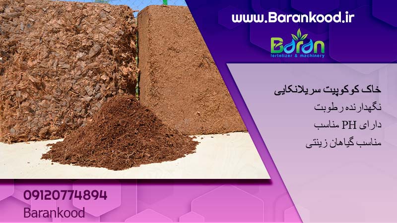 کوکوپیت سریلانکایی