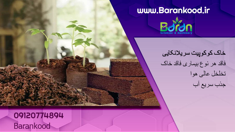 کوکوپیت سریلانکایی