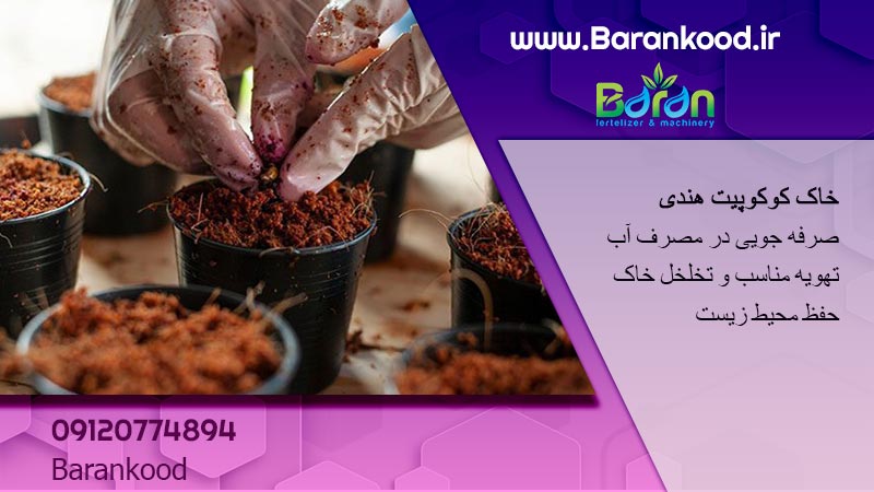 کوکوپیت هندی 