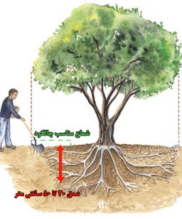 قیمت کود مرغی