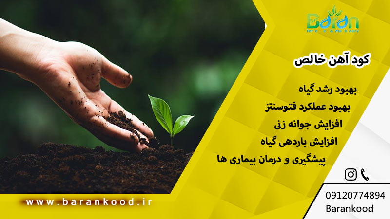 کود آهن خالص