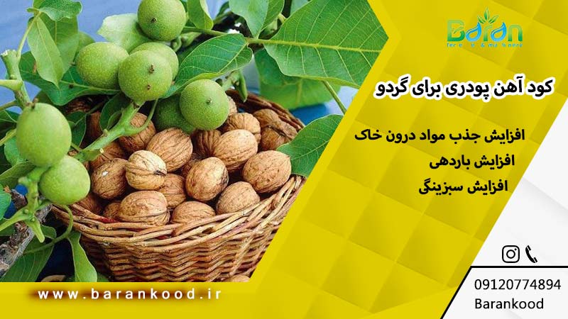 کود آهن پودری برای گردو