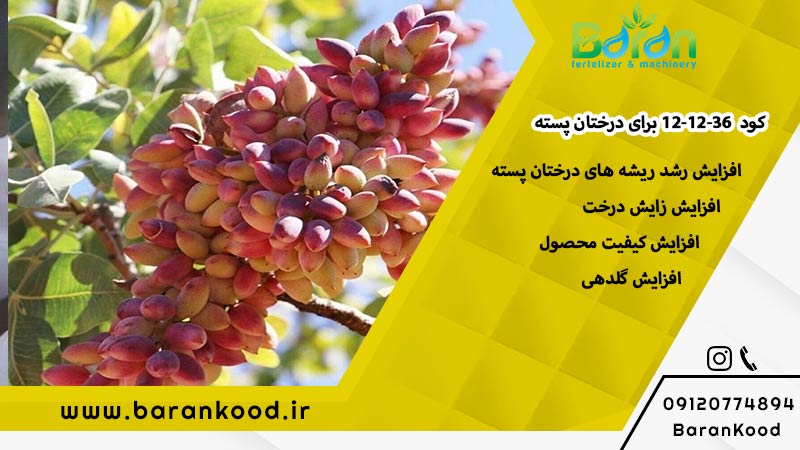 کود-ارگانیک-npk