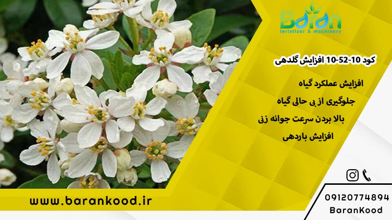 کود-ارگانیک-npk