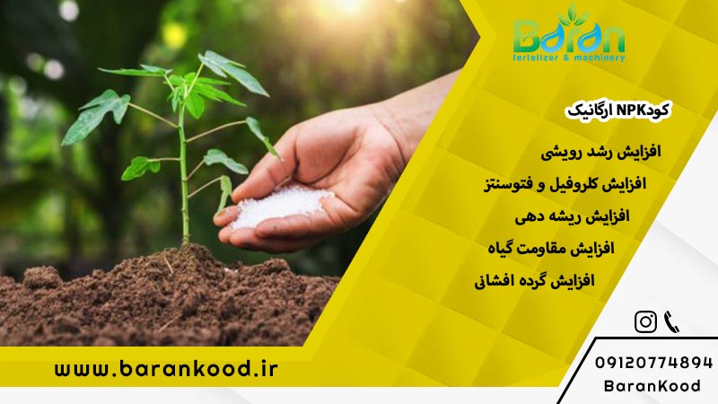کود-ارگانیک-npk