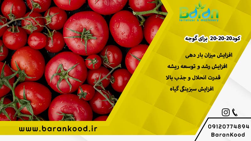 کود-ارگانیک-npk