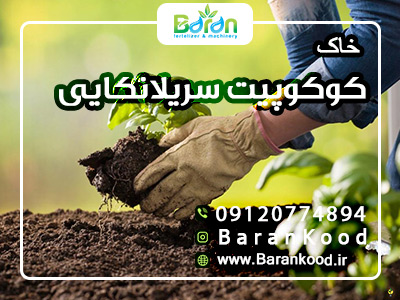 کوکوپیت سریلانکا