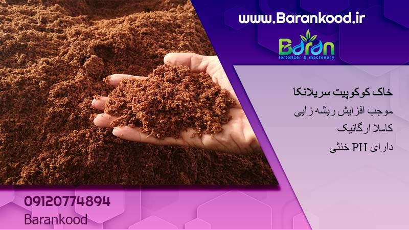 کوکوپیت سریلانکا