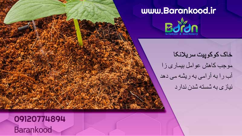 کوکوپیت سریلانکا