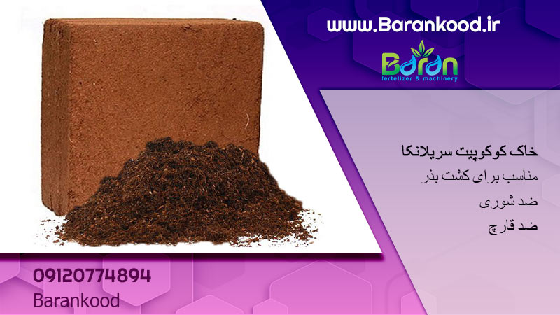 کوکوپیت سریلانکا
