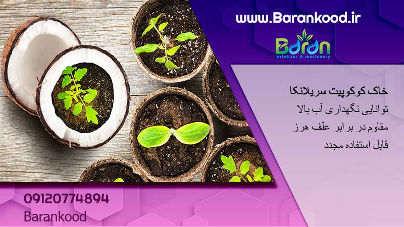 کوکوپیت سریلانکا