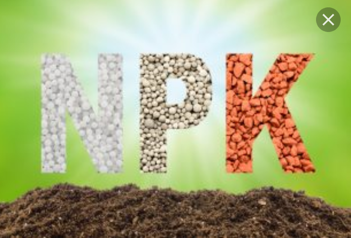 خرید ویژه بهترین کود