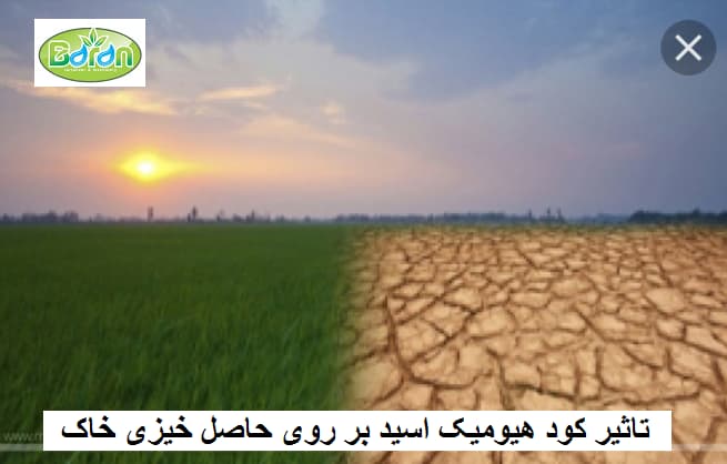 کود هیومیک اسد مایع