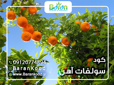 کود سولفات آهن