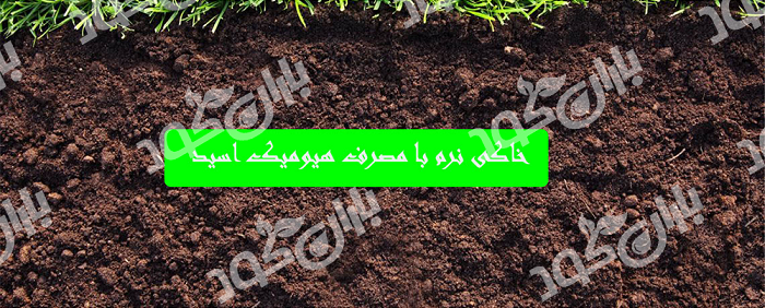 کود هیومیک اسید