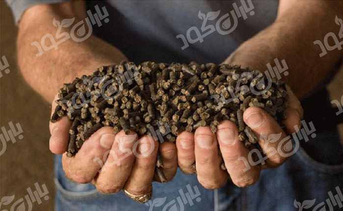 تولید کود ارگانیک