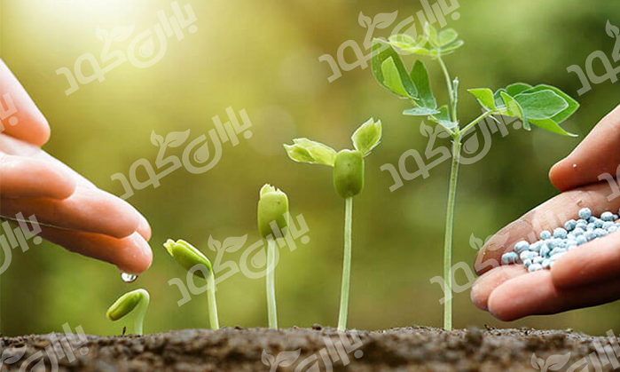 خرید اینترنتی کود ارگانیک