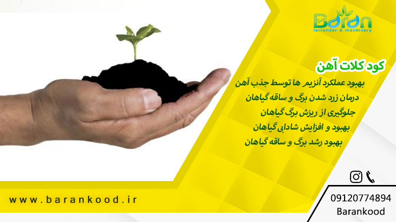 کود کلات آهن