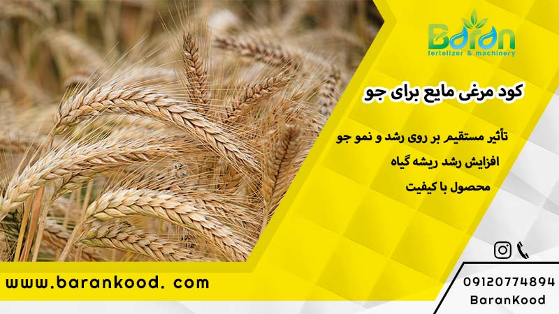 کود مرغی مایع