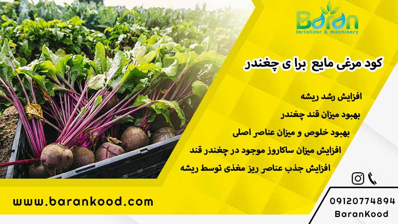 کود مرغی مایع