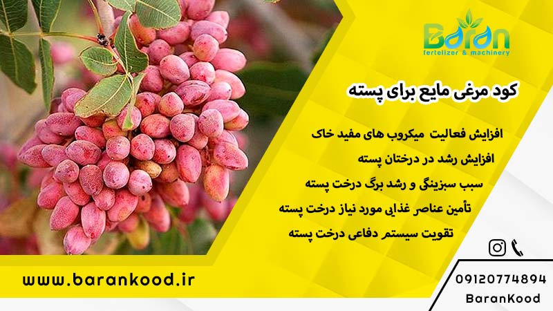 کود مرغی مایع