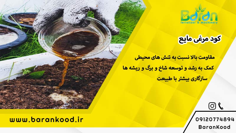 کود مرغی مایع