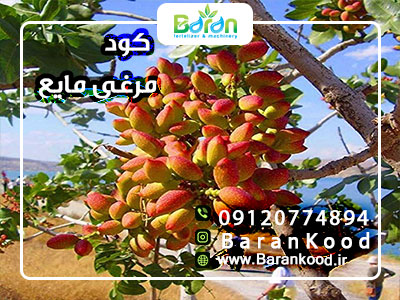 کود مایع مرغی
