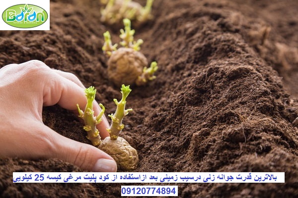 قیمت کود مرغی