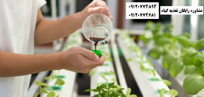 کود مرغی مایع