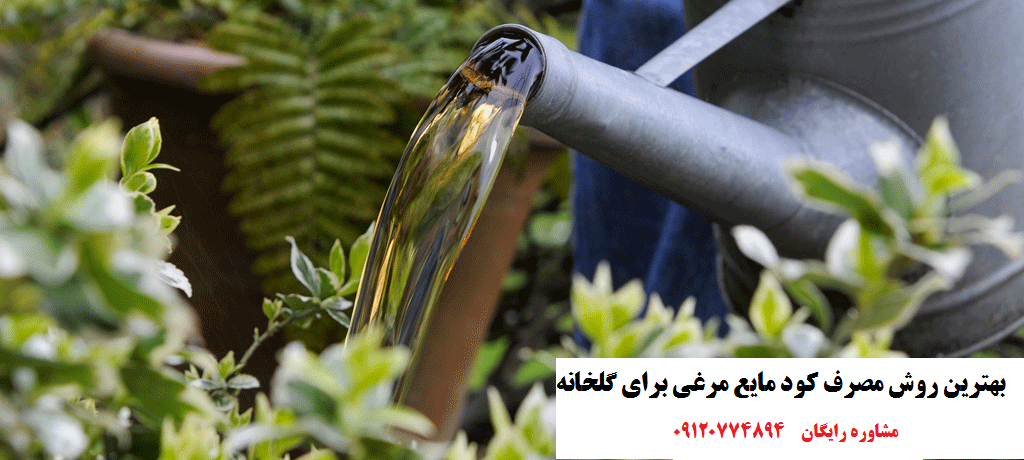 خواص کود مایع مرغی