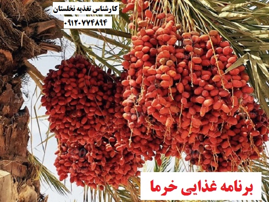کود مرغی برای خرما