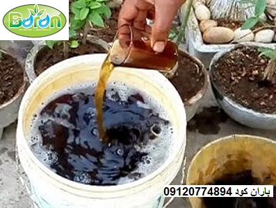 کود مایع مرغی