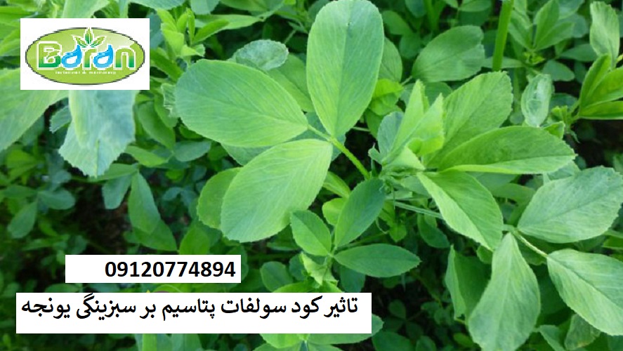 خرید کود