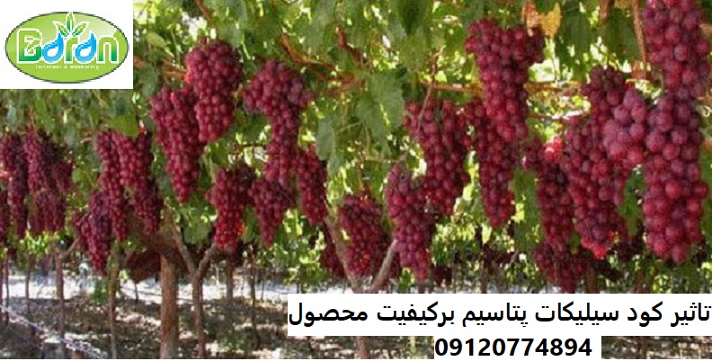 خواص کود سیلیکات پتاسیم