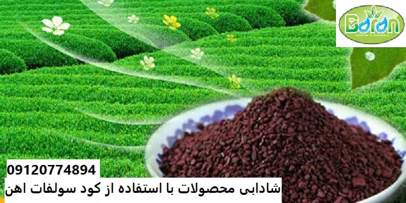 فروش عمده کود سولفات آهن
