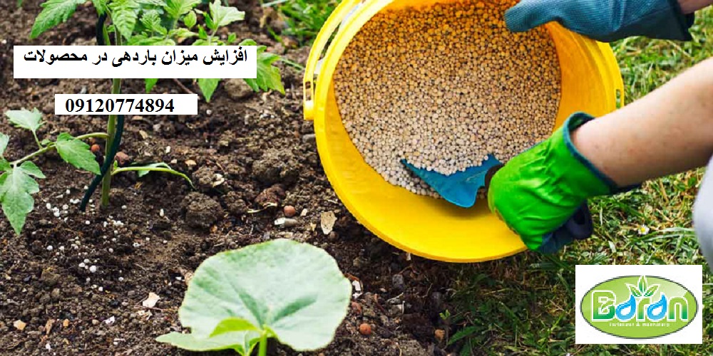 کود گوگرد