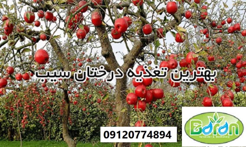 فروش کود گوگرد