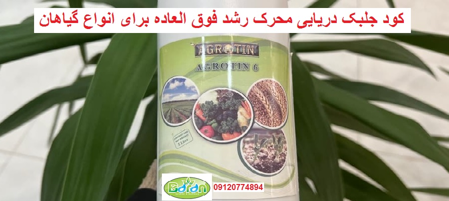 کود جلبک دریایی محرک رشد