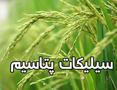 کود سیلیکات کلسیم