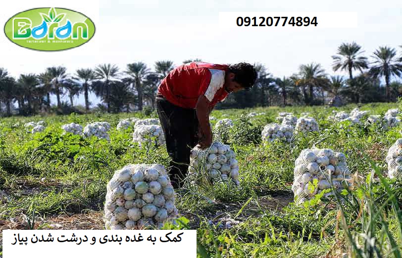 فروش کود نیترات
