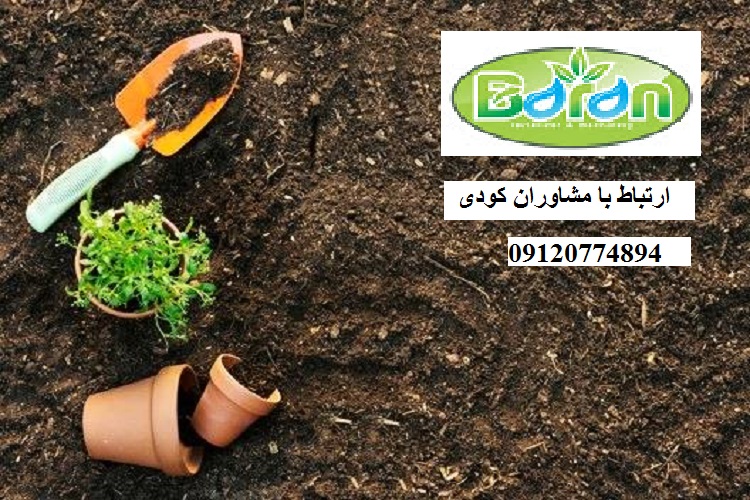کود