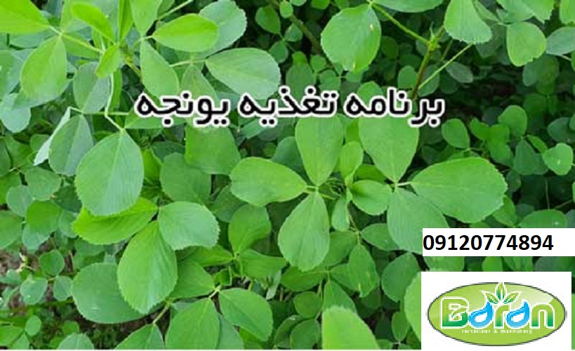 خرید کود