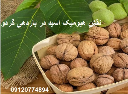 کود اسید هیومیک