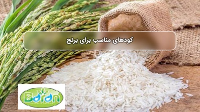 فروش کود