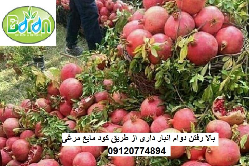 معرفی انالیز کود مایع مرغی 