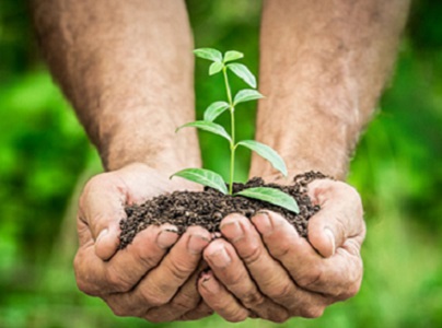 معرفی یک انالیز جدید از کود مابع مرغی