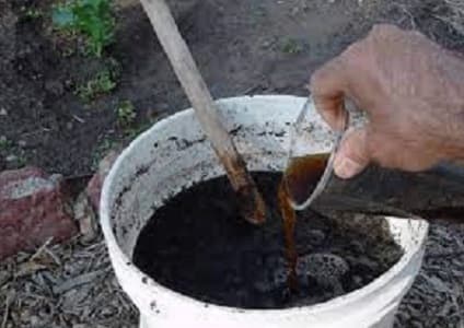 کود مرغی