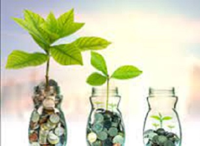 شیره کود مرغی